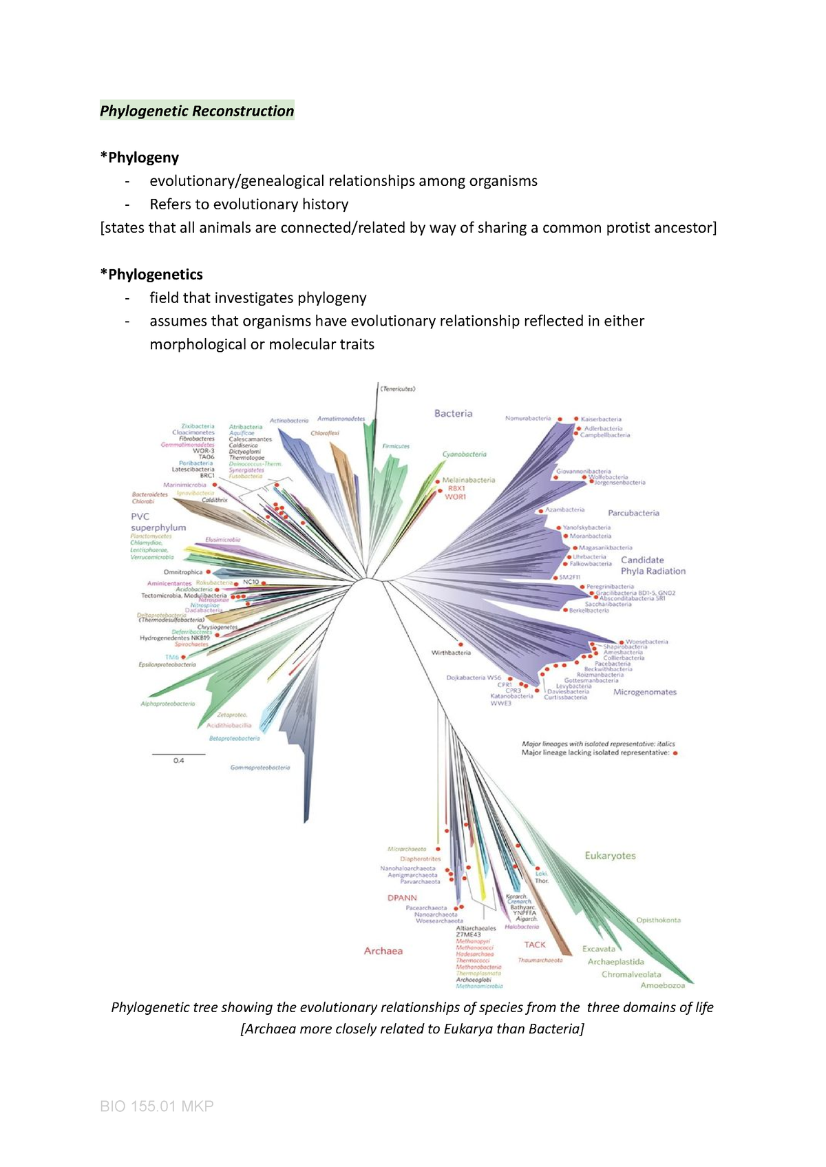 Phylogenetic Reconstruction - Phylogenetic Reconstruction *Phylogeny ...