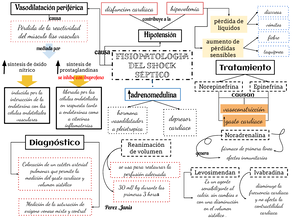 fisiopatología del shock hipovolémico