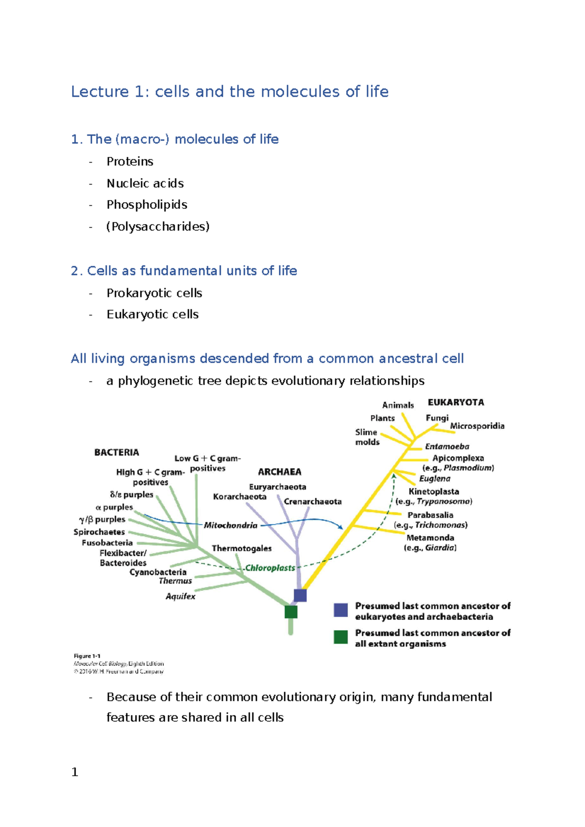 100 word essay about the molecules of life