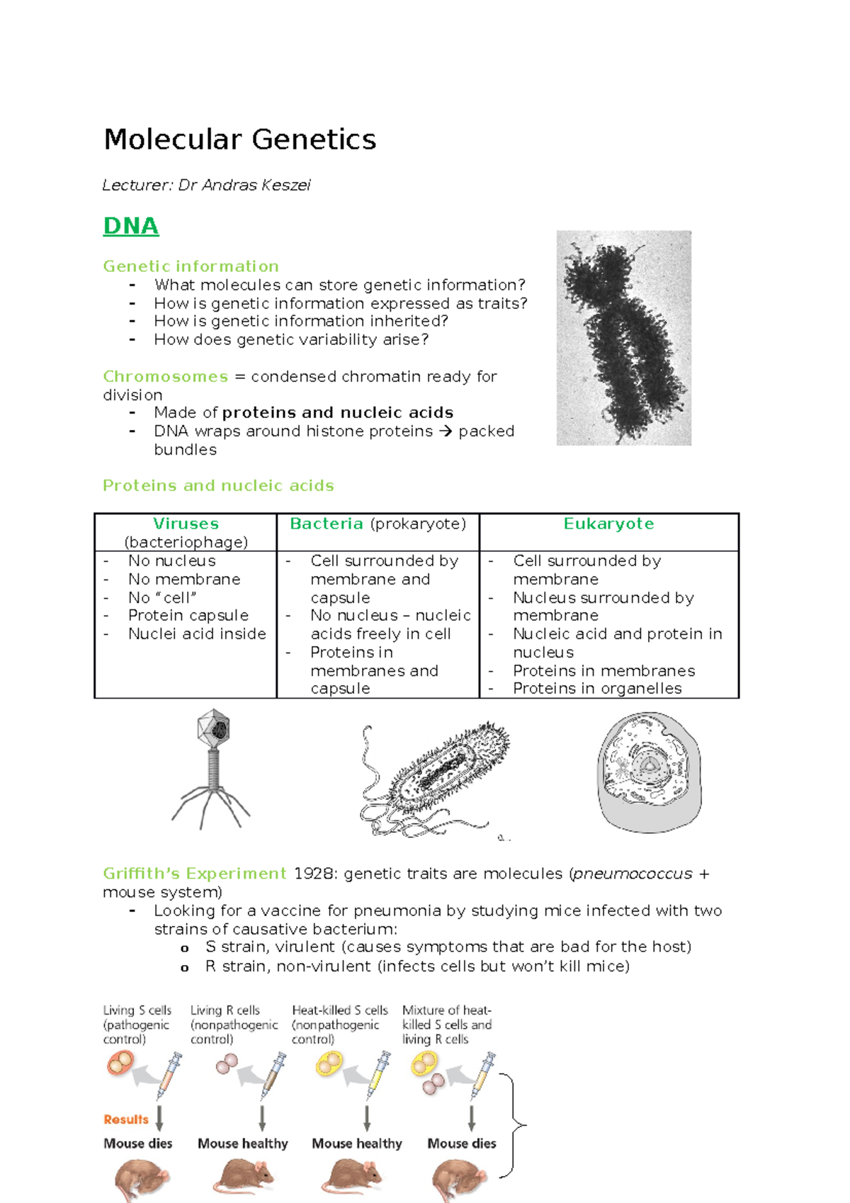 Molecular Genetics Notes - Molecular Genetics Lecturer: Dr Andras ...