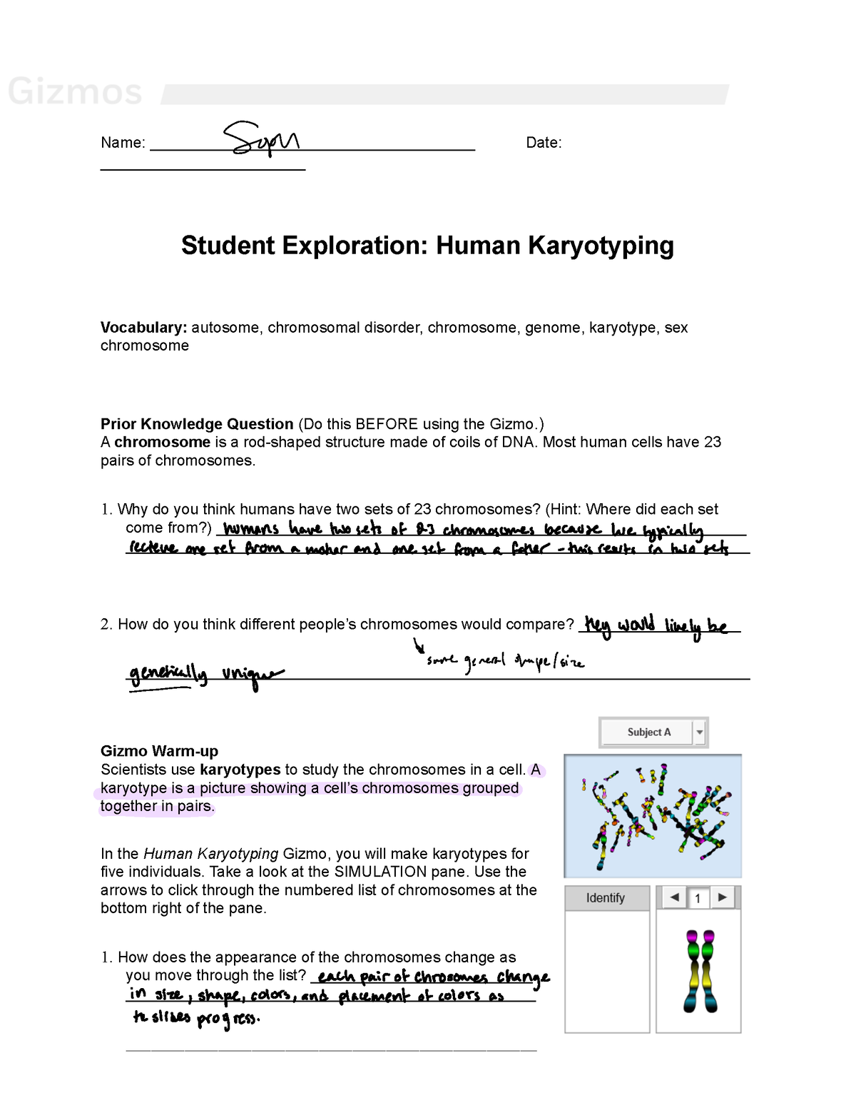 Gizmos+Human Karyotyping SE - Name ...