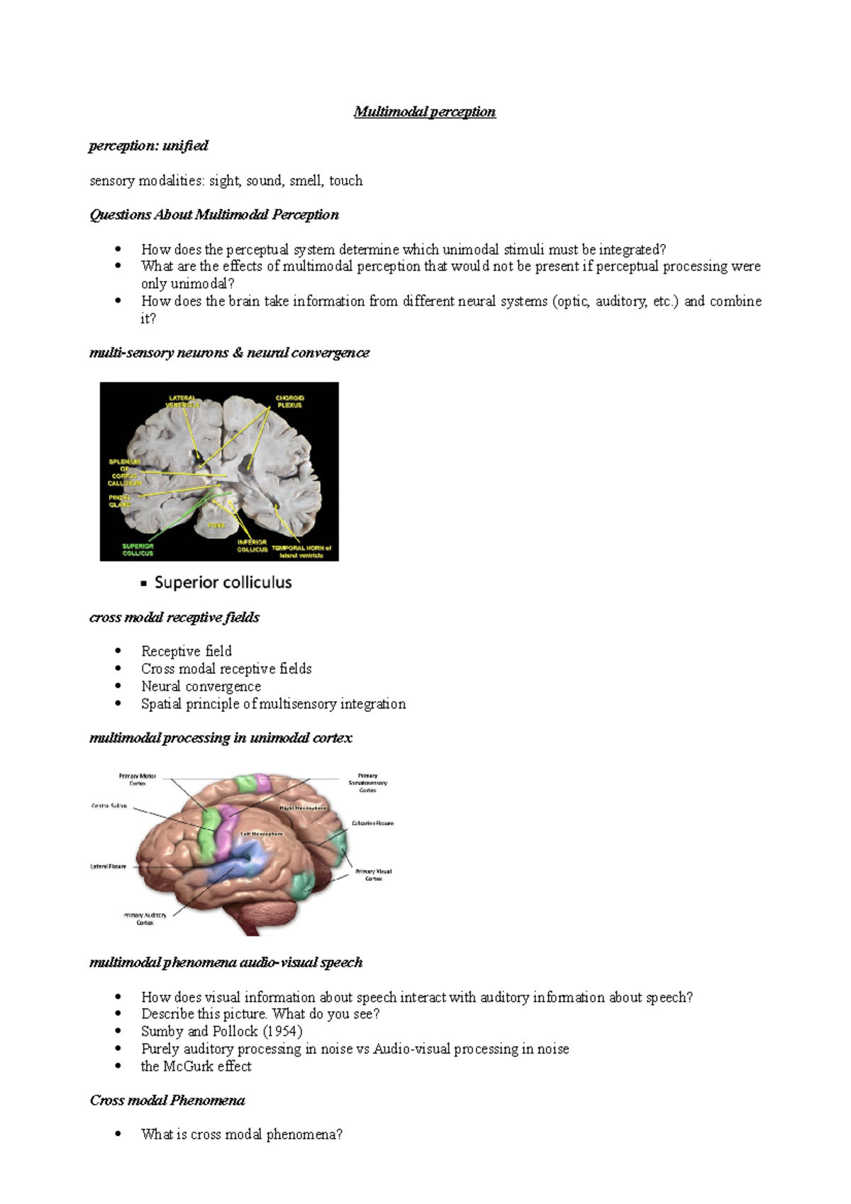 Cognition study notes - Multimodal perception perception: unified ...