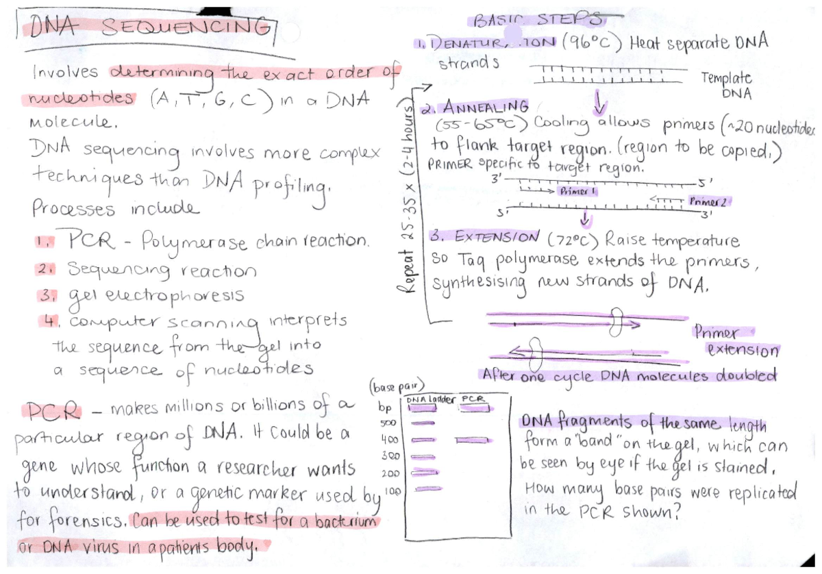 Biomed diagrams - SPTH4010 - Studocu