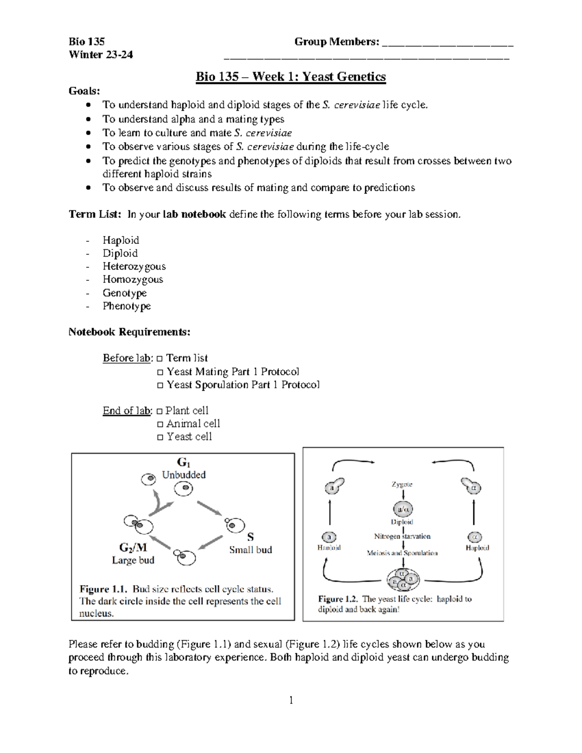 Bio 135 Yeast Lab 1 Winter 23 24 Winter 2324