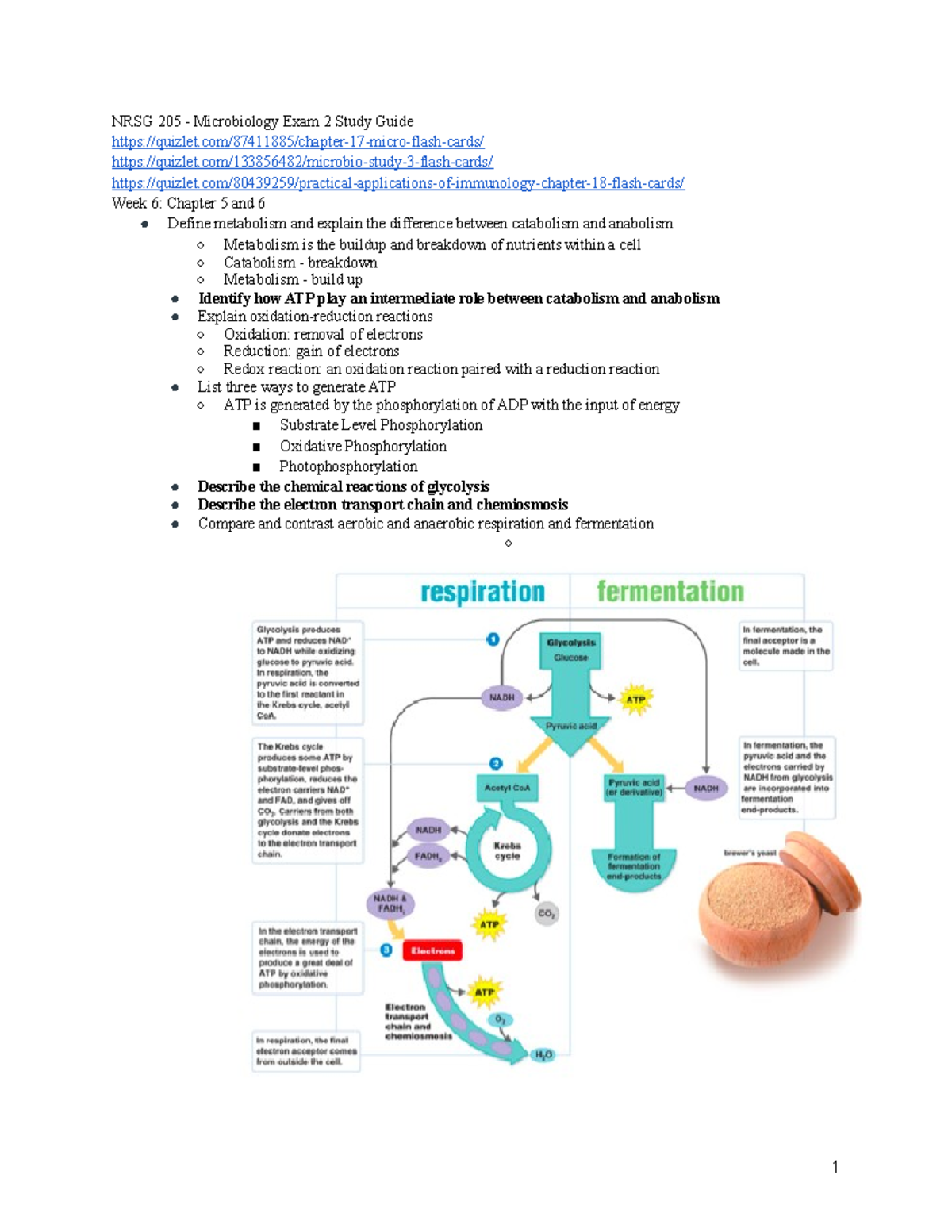 Exam 2 Study Guide - NRSG 205 - Microbiology Exam 2 Study Guide - StuDocu