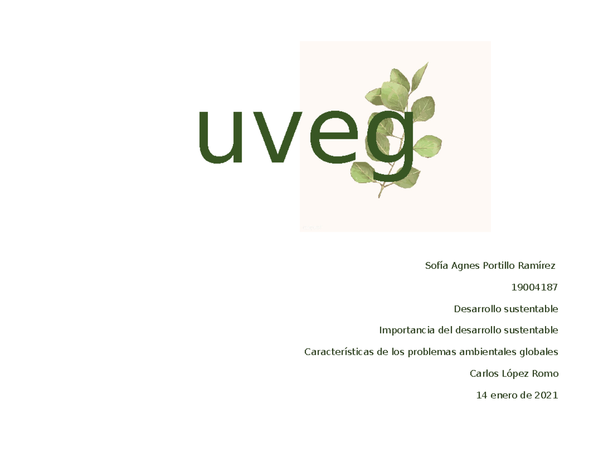 Portillo Sofia cuadro sinóptico problemas ambientales - uveg Sofía
