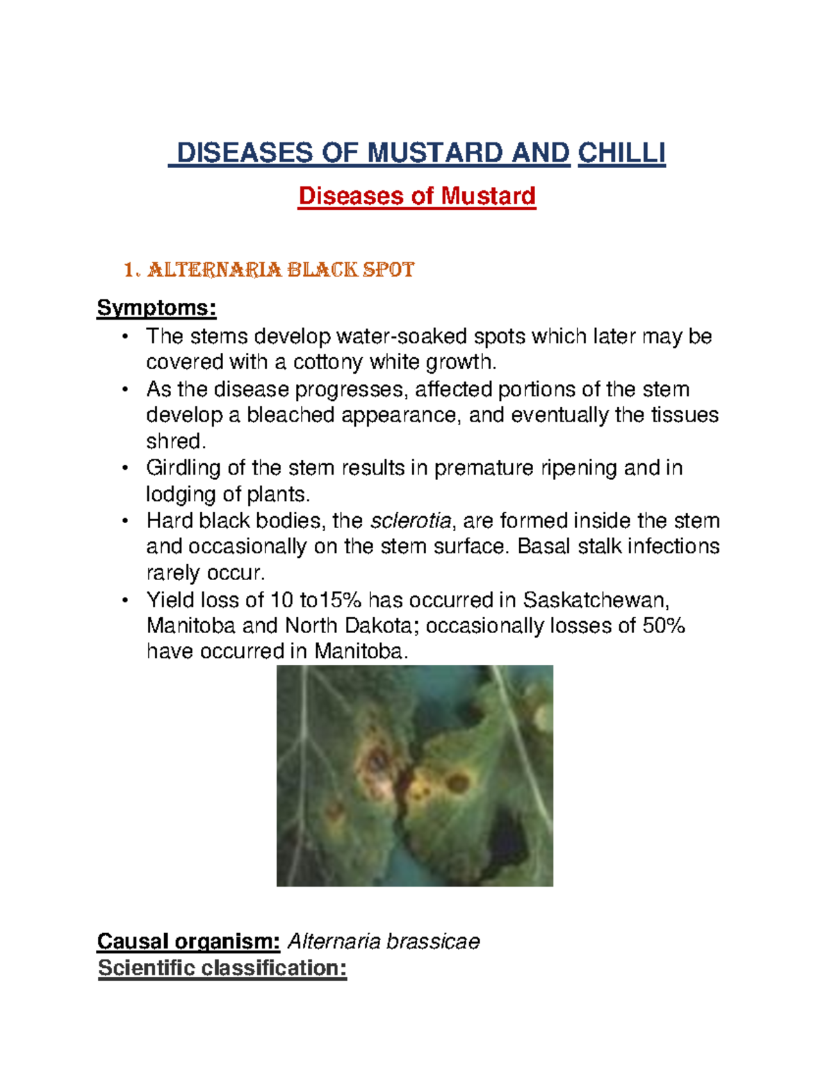 PLPT 529 Diseases of mustard and chilli DISEASES OF MUSTARD AND