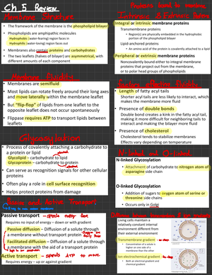 BIO 111 Practice Exam 1 Answers - BIO 111 Practice Exam 1 1. Living ...