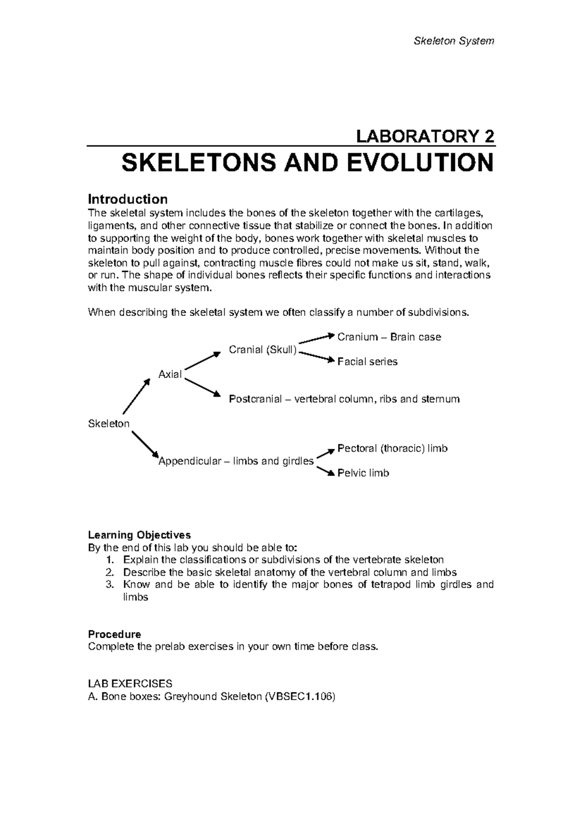 L2 Skeletons 2023 Lab 2 tutorial work LABORATORY 2 SKELETONS AND