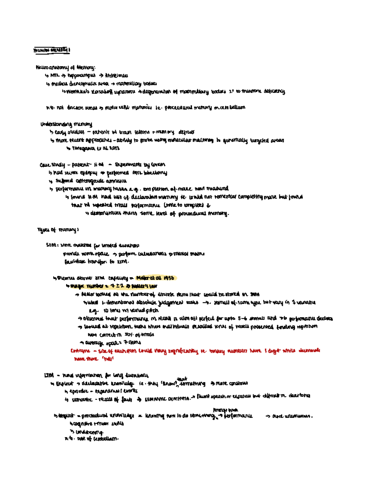 Human memory and attention revision - HUMANMEMORI neuroanatomy of ...