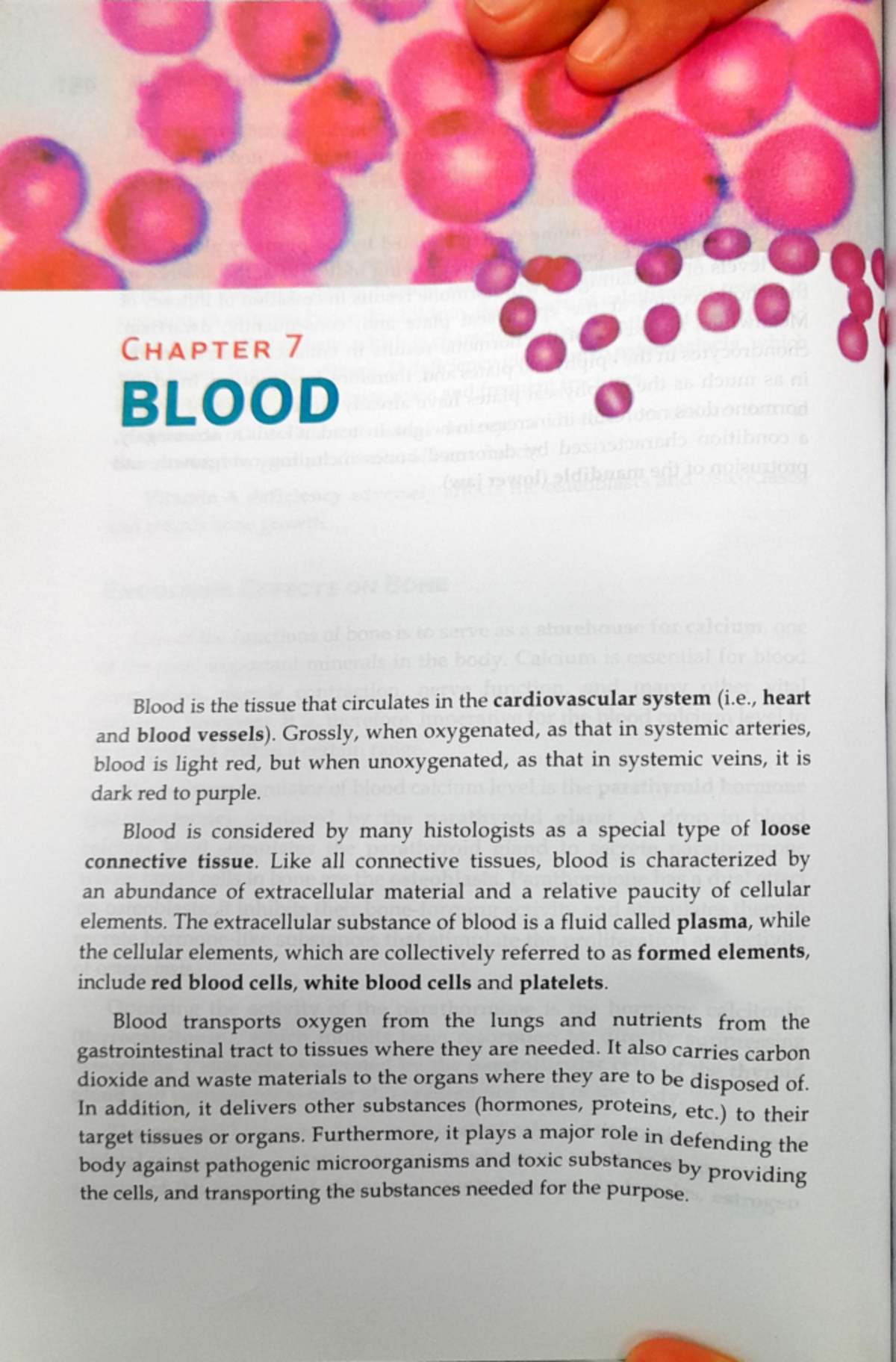 Histo Prefinal Topic Blood - Medical Laboratory Science - Studocu
