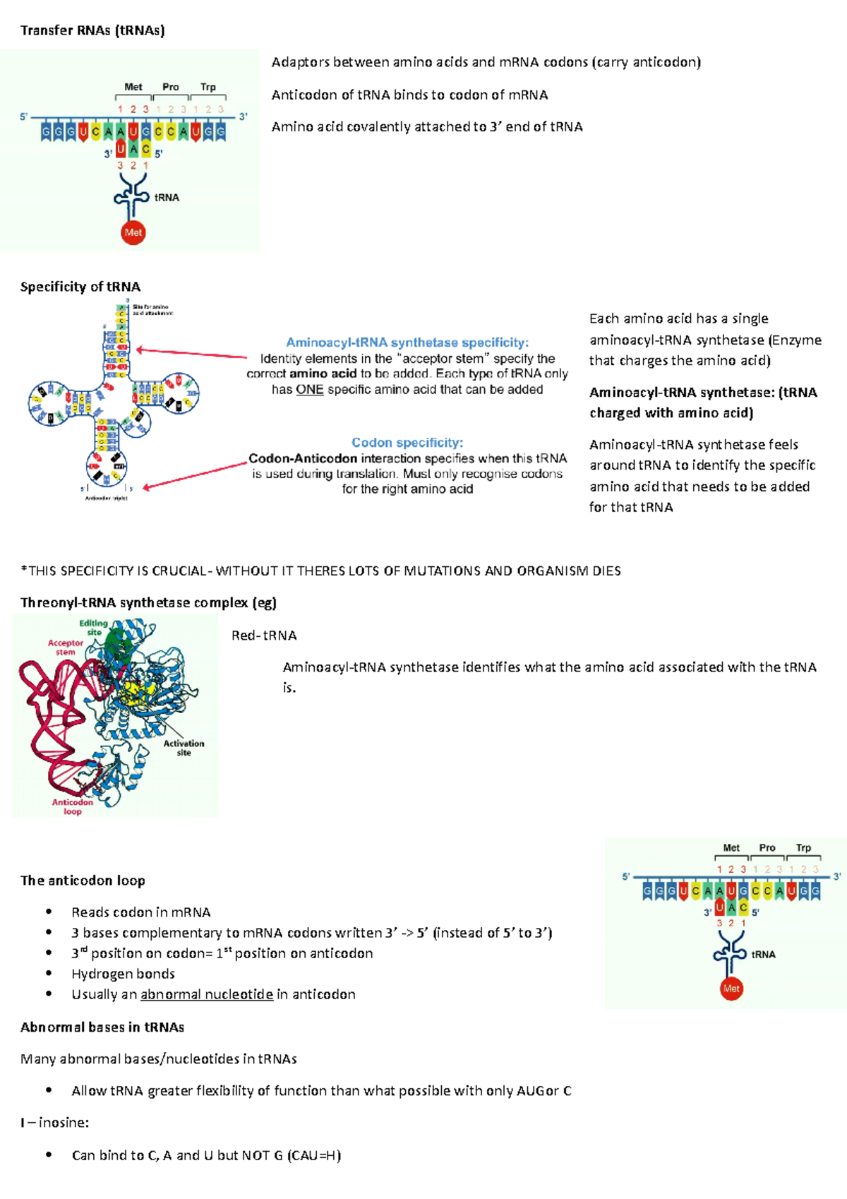 Midsem Exam notes - Module 1-3 - Transfer RNAs (tRNAs) Adaptors between ...