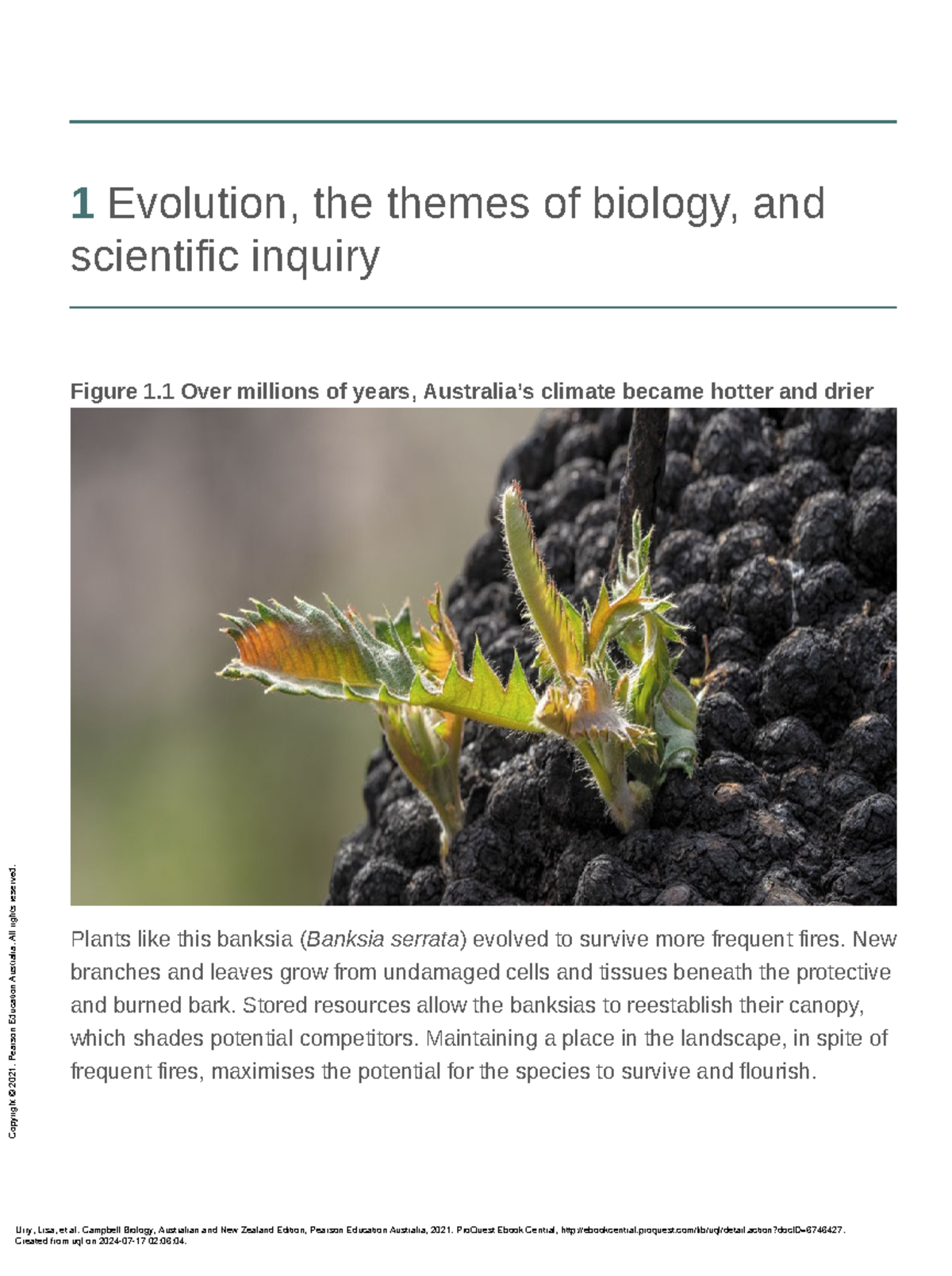2. Evolution the themes of biology and scientific inquiry - 1 Evolution ...