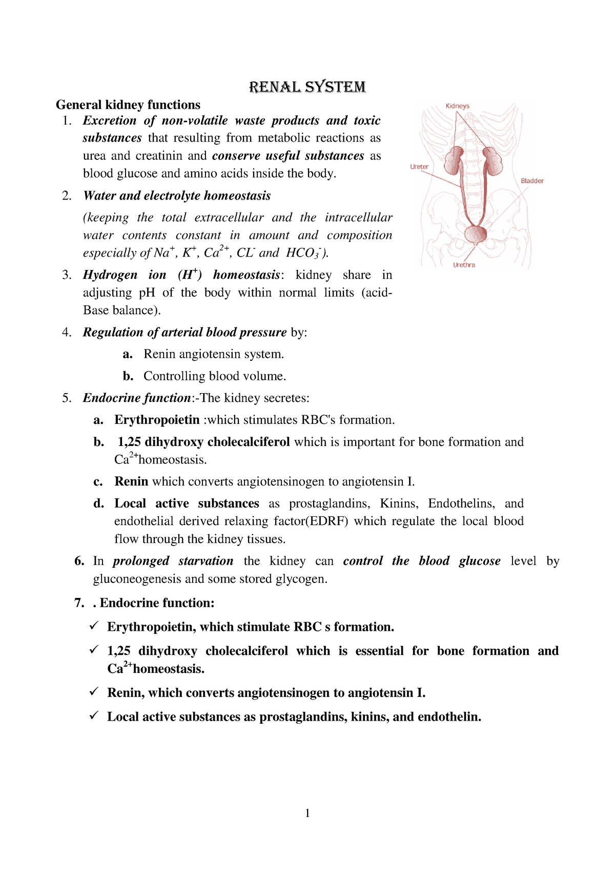 essay questions on renal physiology