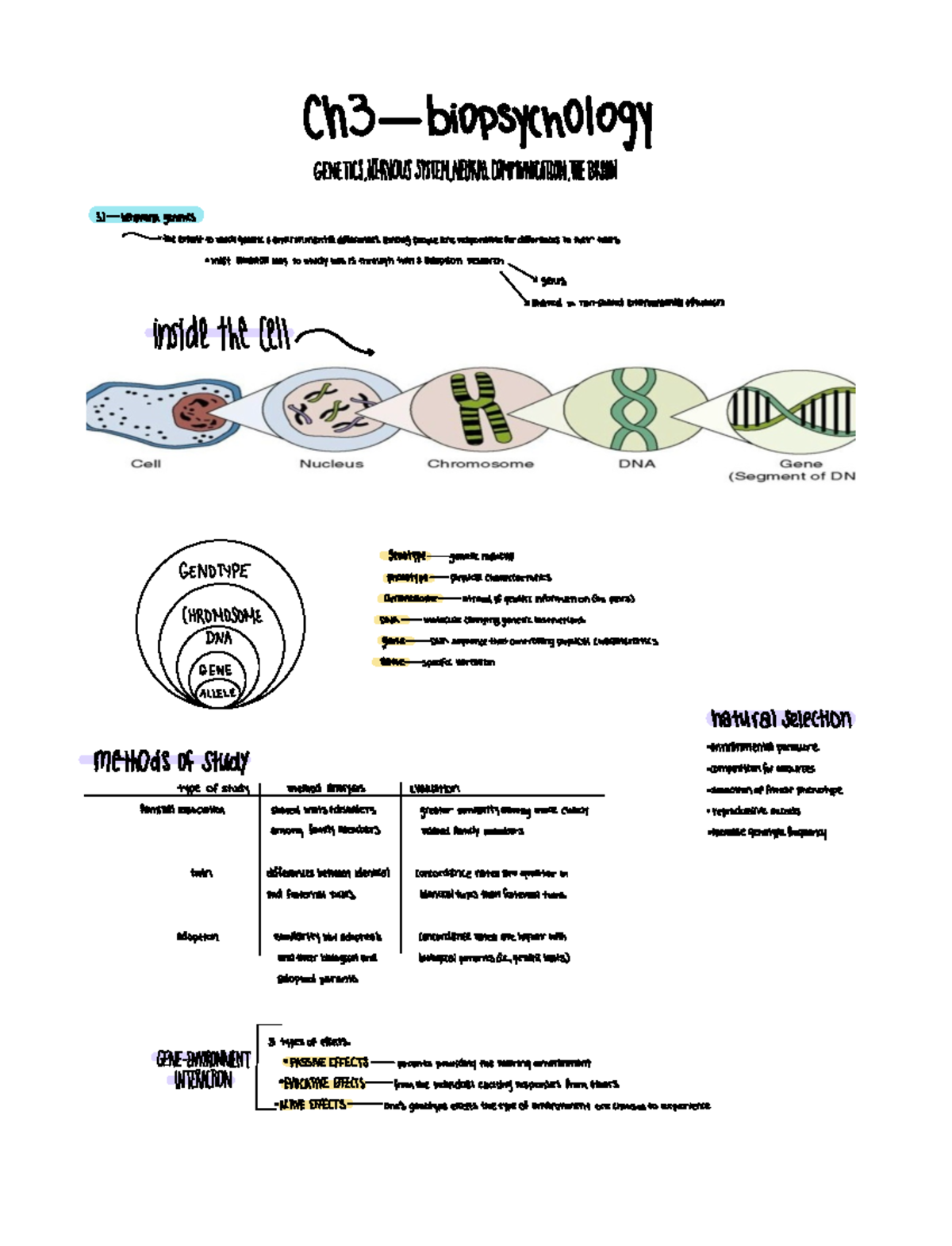 Ch 2 Chapter 2 Notes Psy 2012 Studocu Ch 2 Chapter 2 Notes Psy 2012 Studocu