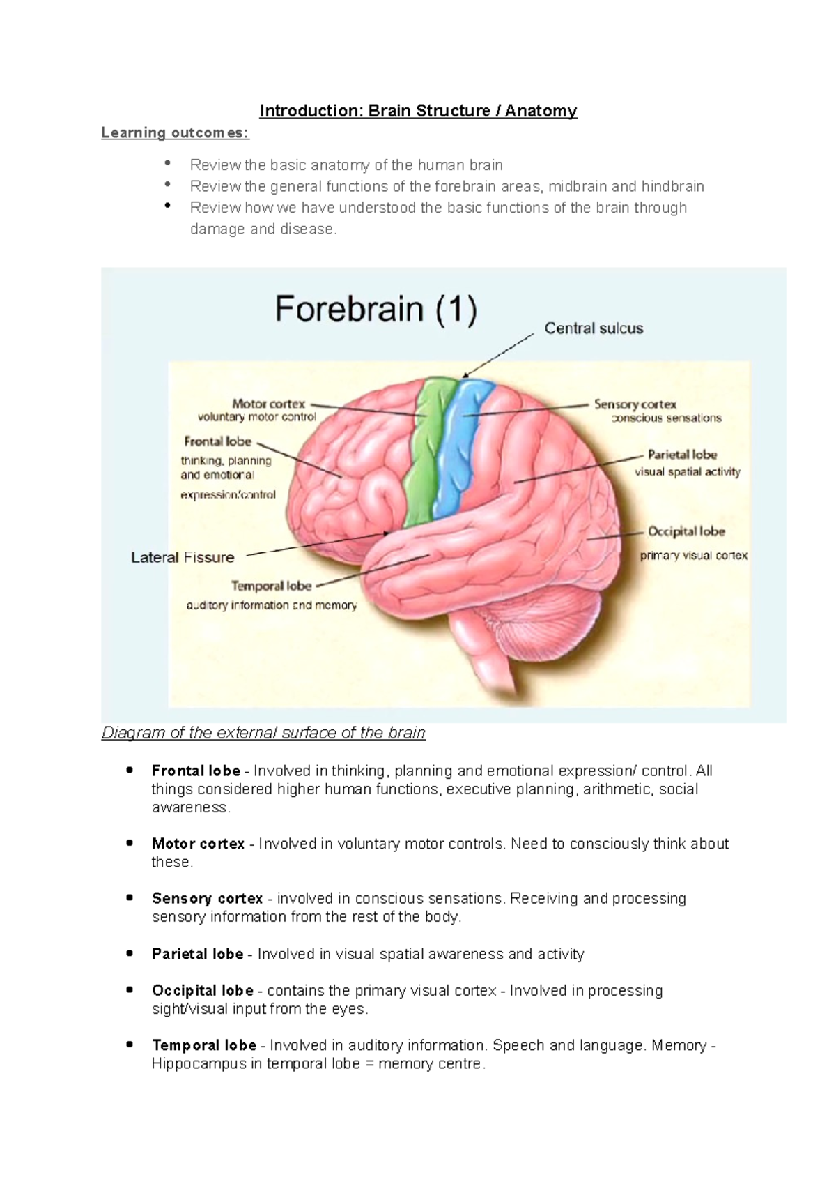 Brain Structure Anatomy Introduction Introduction Brain Structure Brain Structure Anatomy Introduction Introduction Brain Structure