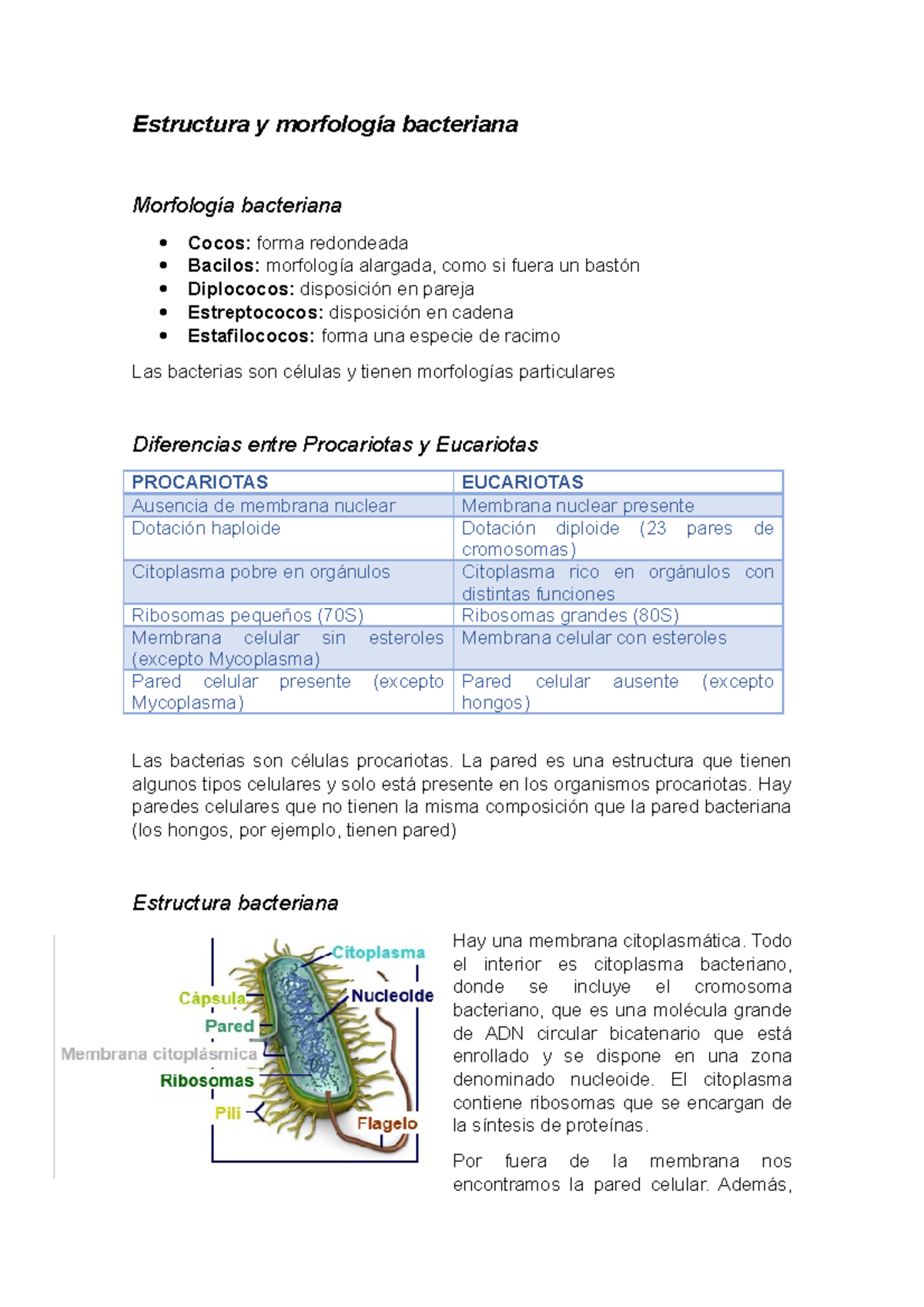 Estructura y morfología bacteriana - Estructura y morfología bacteriana ...