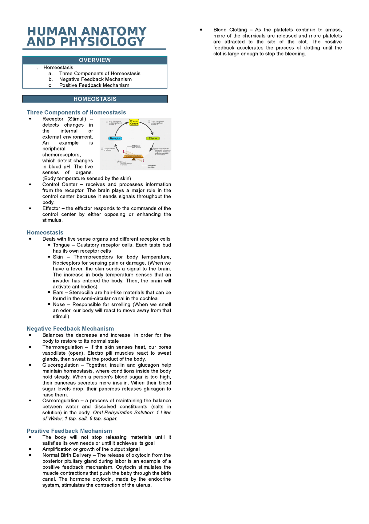 [Notes] BIOL 012 Lab - Homeostasis - HUMAN ANATOMY AND PHYSIOLOGY ...