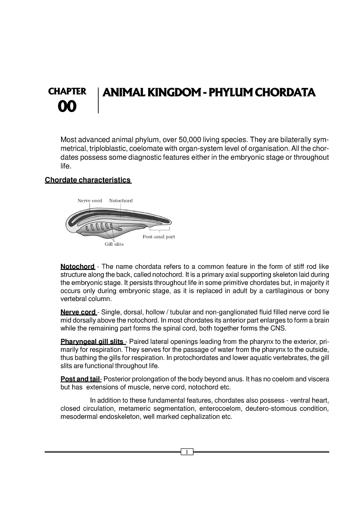 Chordata - CHAPTER ANIMAL KINGDOM - PHYLUM CHORDATA 00 Most advanced animal  phylum, over 50,000 - Studocu