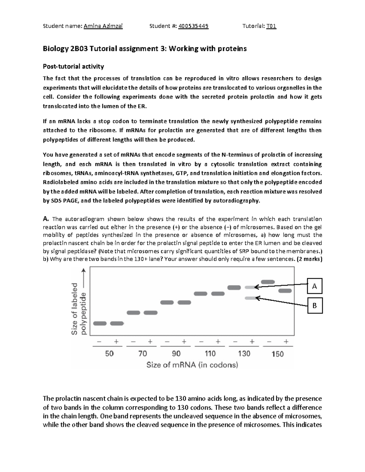 F24 Bio 2B03 Assignment 3 - Working with proteins - Student name: Amina ...