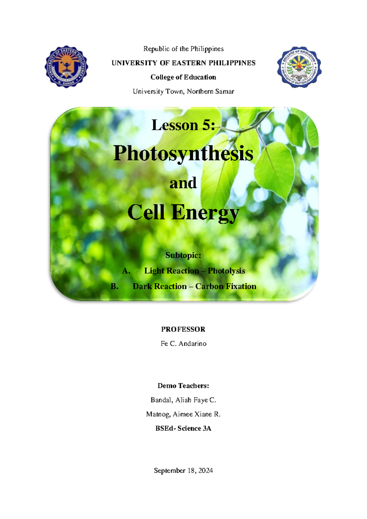 Module 5 Photosynthesis and Cell Energy (Light and Dark Reaction