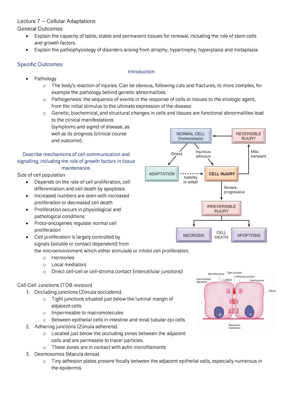 Mod Session 7 - Cellular Adaptation - Lecture 7 – Cellular Adaptations ...