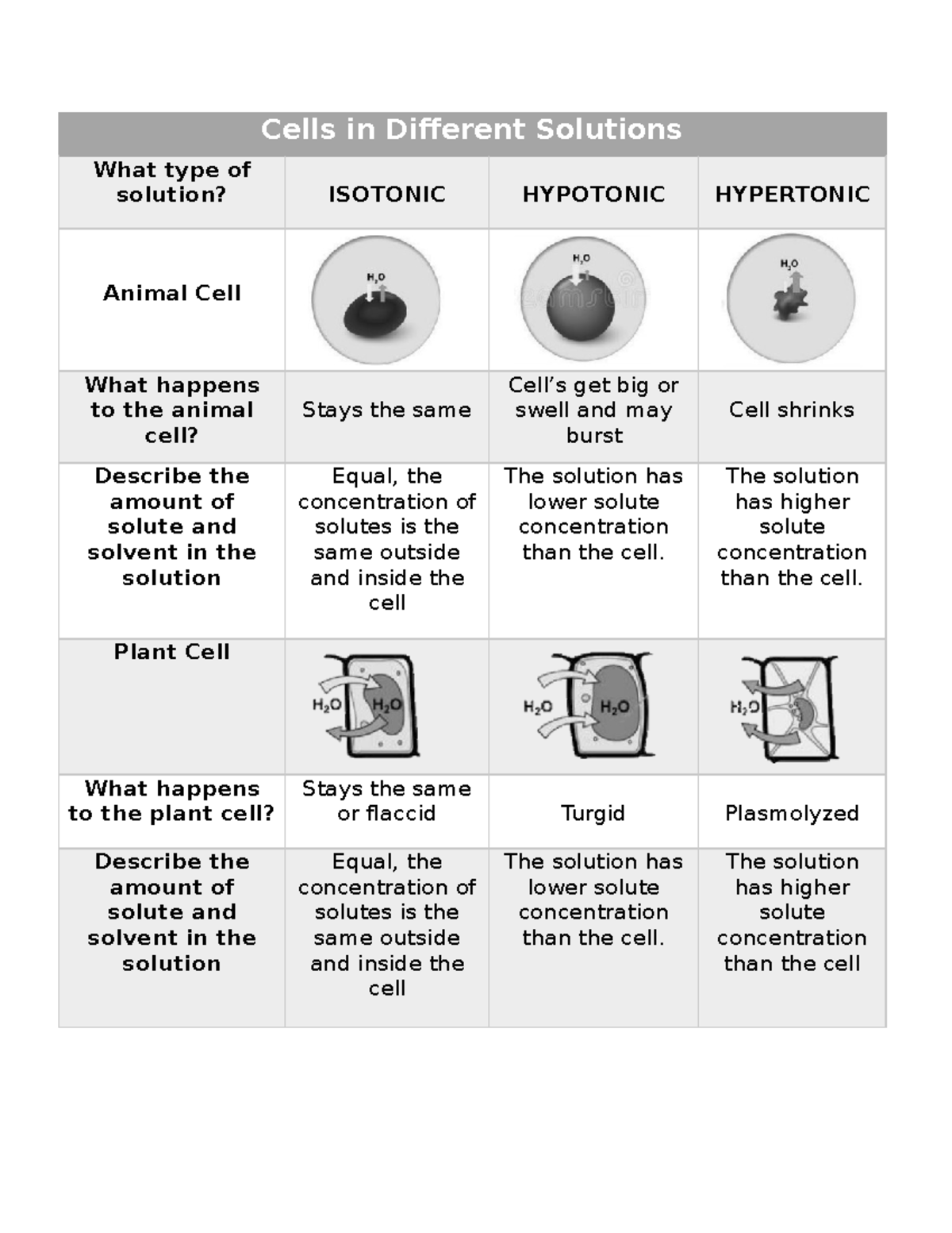 Cells in Different Solutions - The solution has higher solute ...