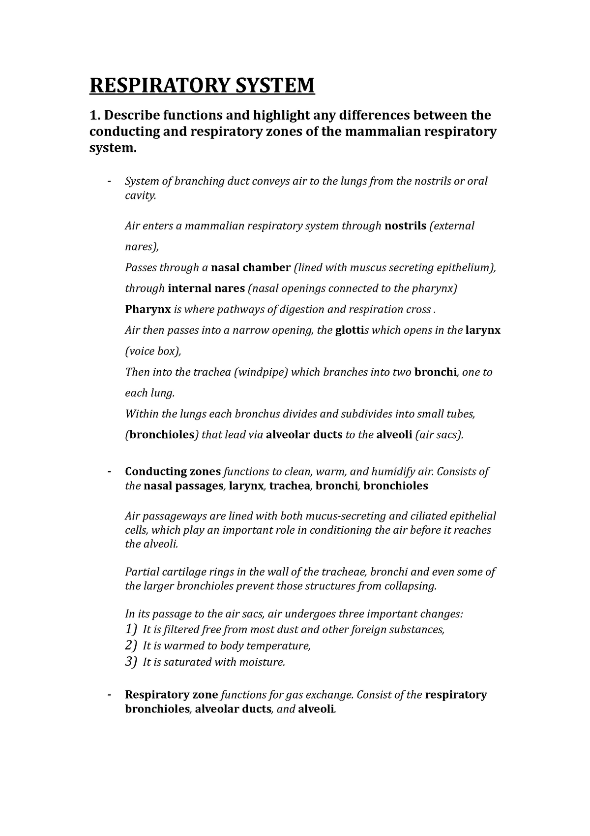 respiratory system summary essay