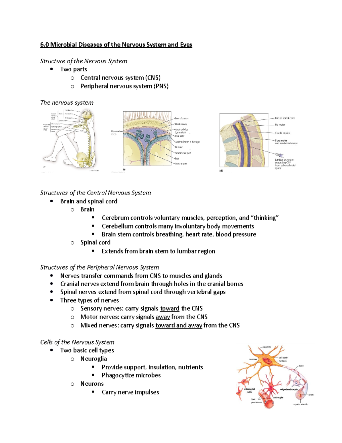 6.0 Microbial Diseases of the Nervous System and Eyes - influenzae was ...