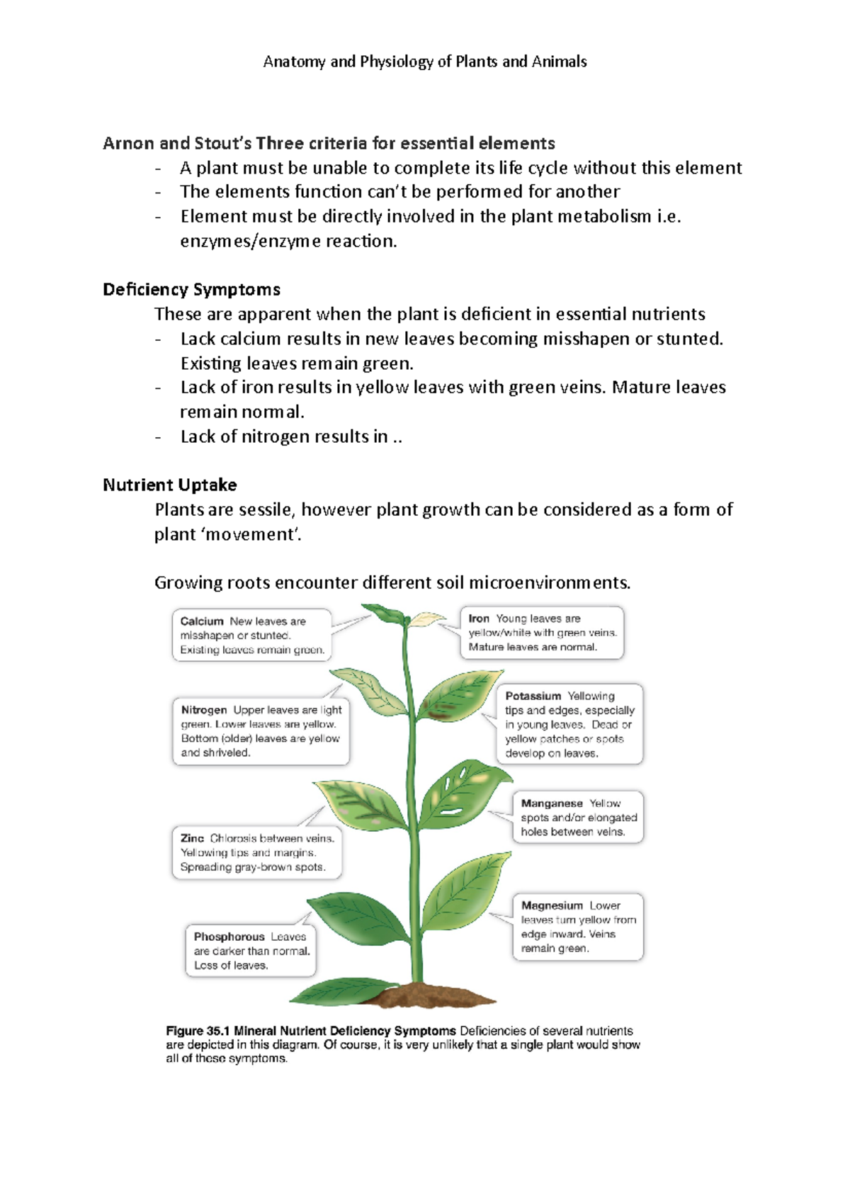 Plant Nutrition Notes - Anatomy And Physiology Of Plants And Animals ...