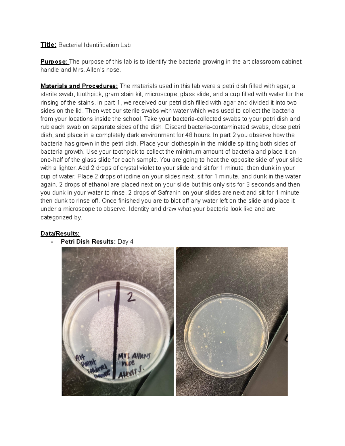Bacteria Identification Lab Title Bacterial Identification Lab