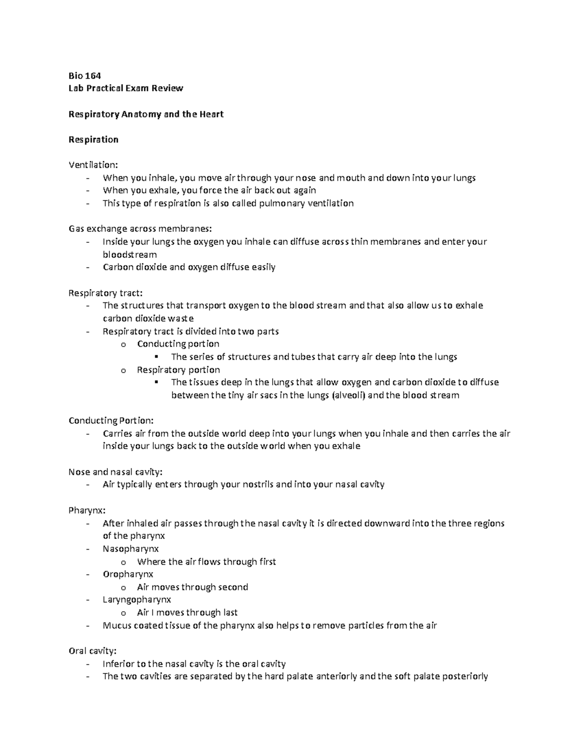 Repsiratory anatomy and heart - Bio 164 Lab Practical Exam Review ...