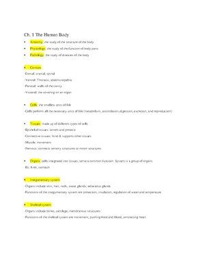 Chapter 1 the human body - Ch The Human Body continued Nervous system ...