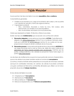 Tejido Conectivokl Tejido Conectivo O Conjuntivo Da Soporte