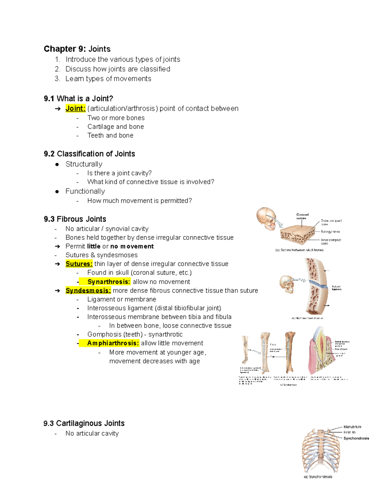 Chapter 9 Joints Chapter 9 Joints 1. Introduce the various types of