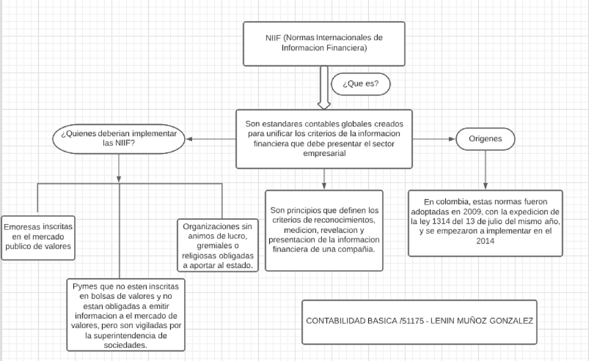 Mapa Conceptual Sobre Las Niif Contabilidad Internacional Cun Studocu