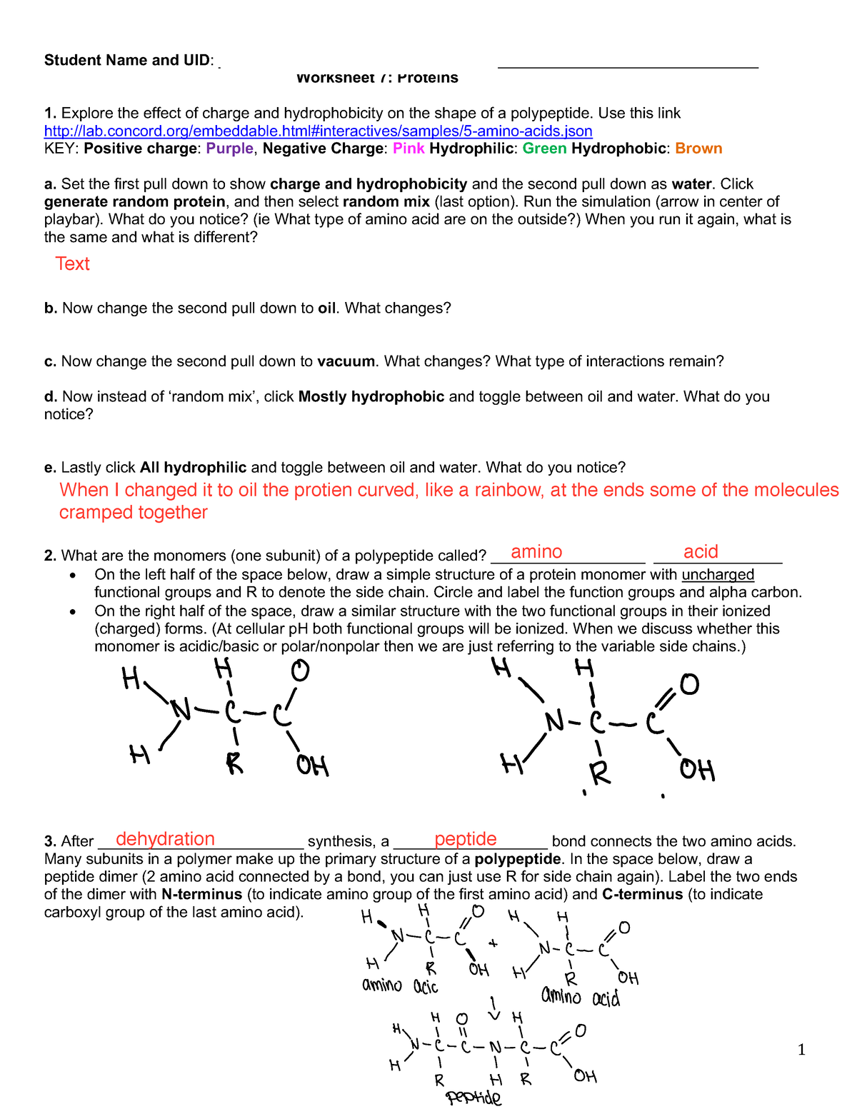 Discussion Assignment 7-Proteins - 1 Student Name And UID: - Studocu