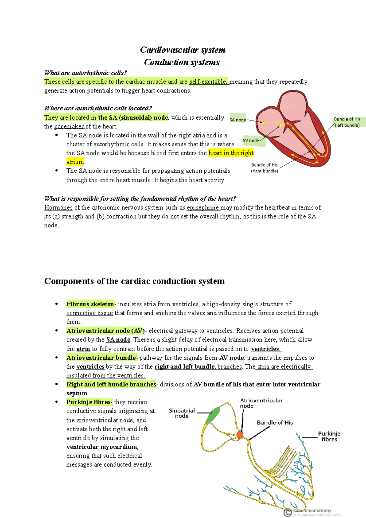 Conducting System of the Heart - Bundle of His - SA Node - TeachMeAnatomy