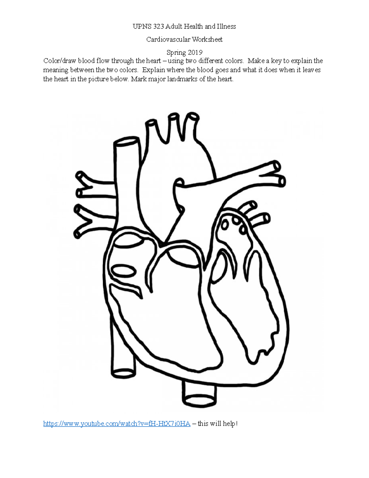 Cardiac Worksheet - work sheet - UPNS 323 Adult Health and Illness ...