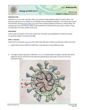 Photosynthesis Animation Student Worksheet - Photosynthesis Published ...