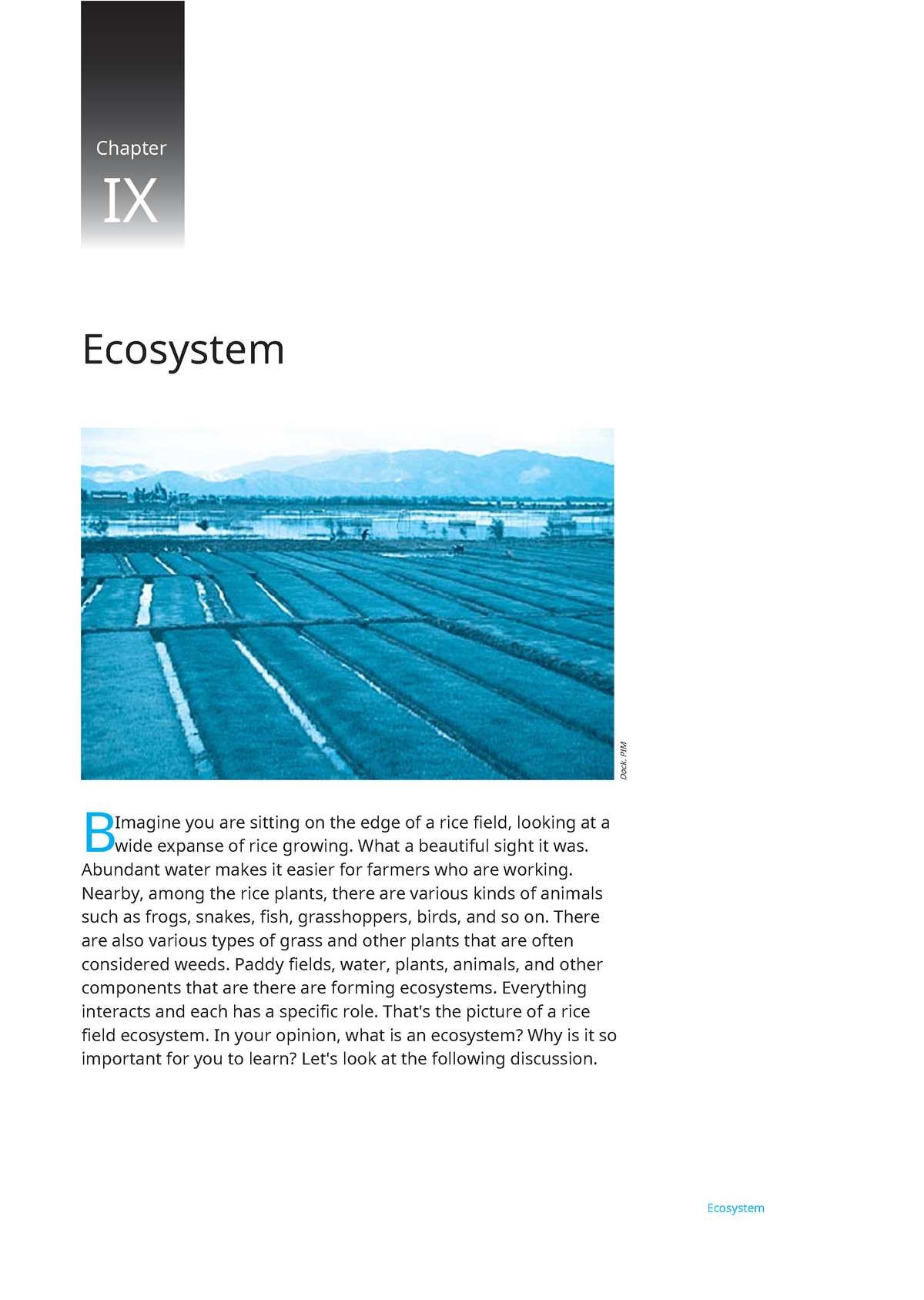 Biology Notes On Bio001 Class (11) - Chapter IX Ecosystem B Imagine You ...