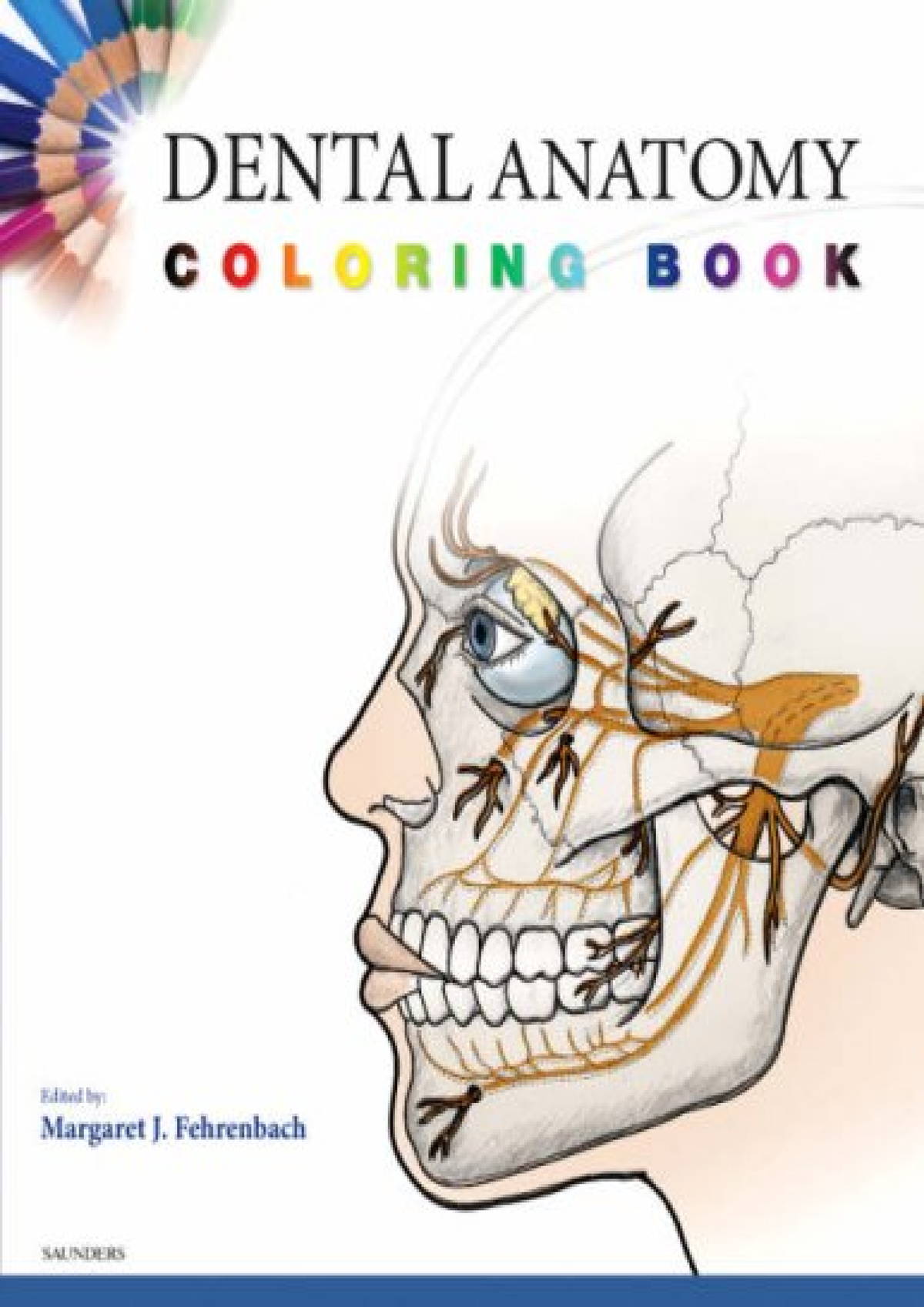 [PDF READ ONLINE] Dental Anatomy Coloring Book Dental Anatomy