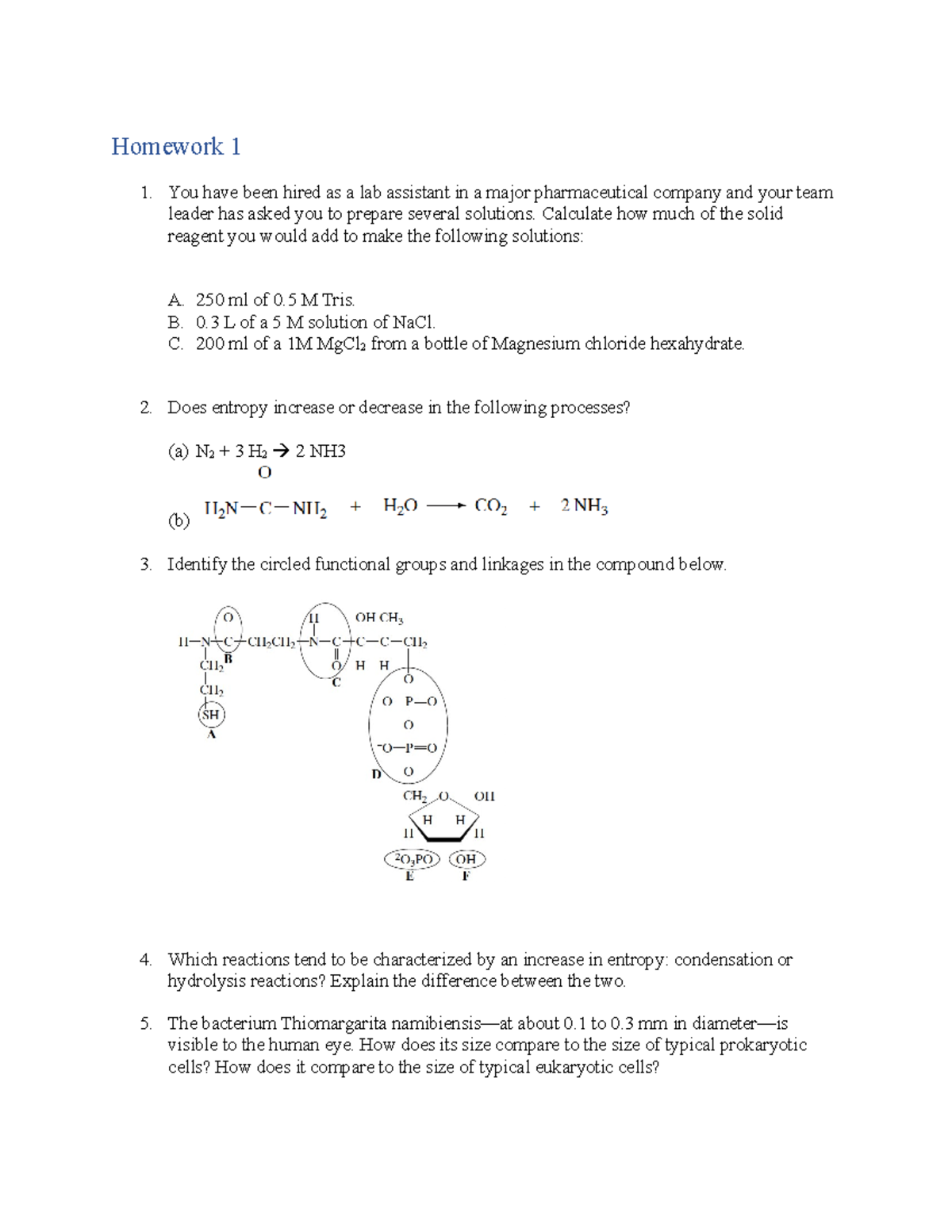 HW 1 questions(1) - homework and practice - Homework 1 You have been ...
