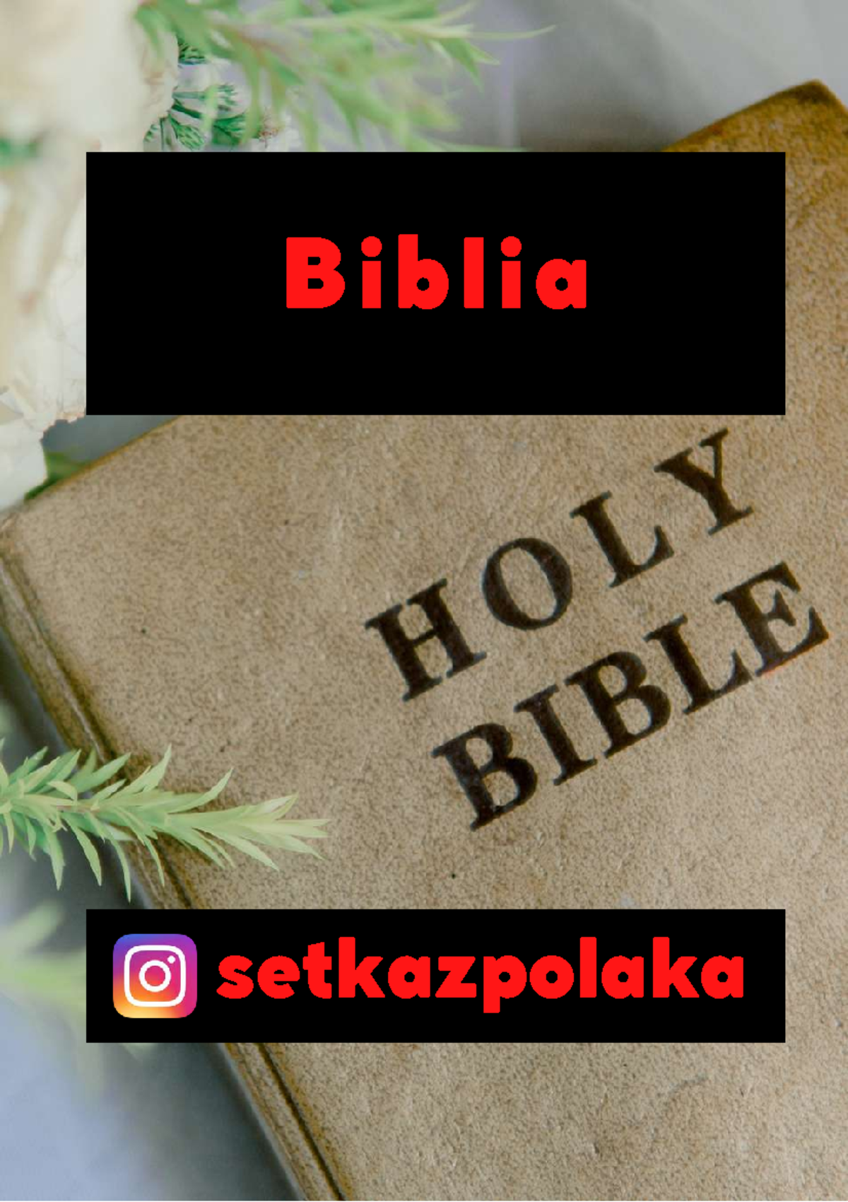 4. Biblia omówienie Biblia setkazpolaka B i b l i a ( f r a g m e n t
