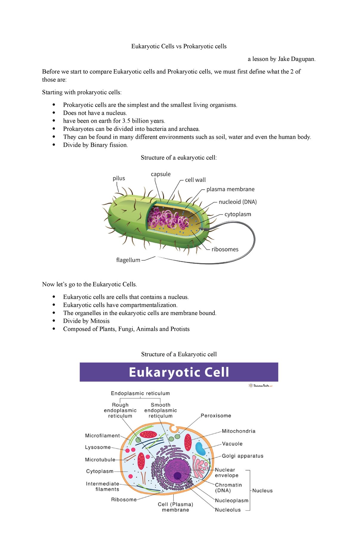 Eukaryotic Cells vs Prokaryotic cells - Before we start to compare ...