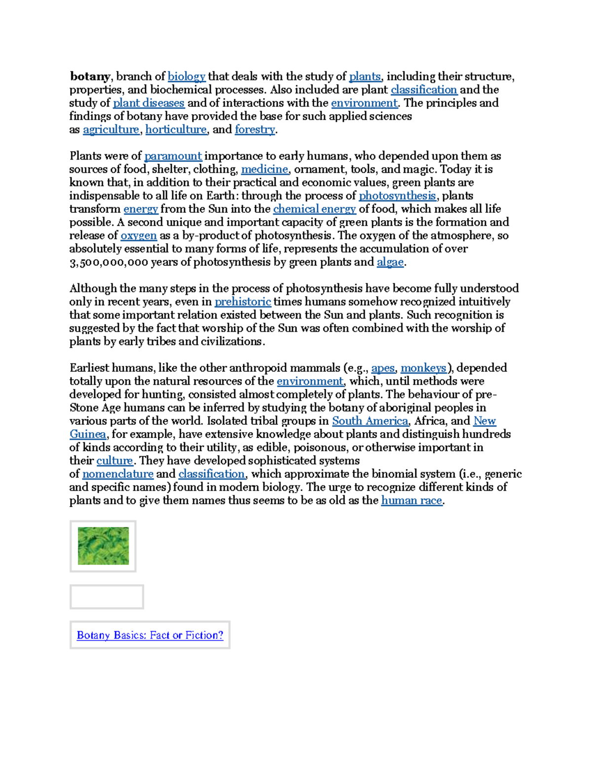 an overview about the basic botany botany, branch of biology that