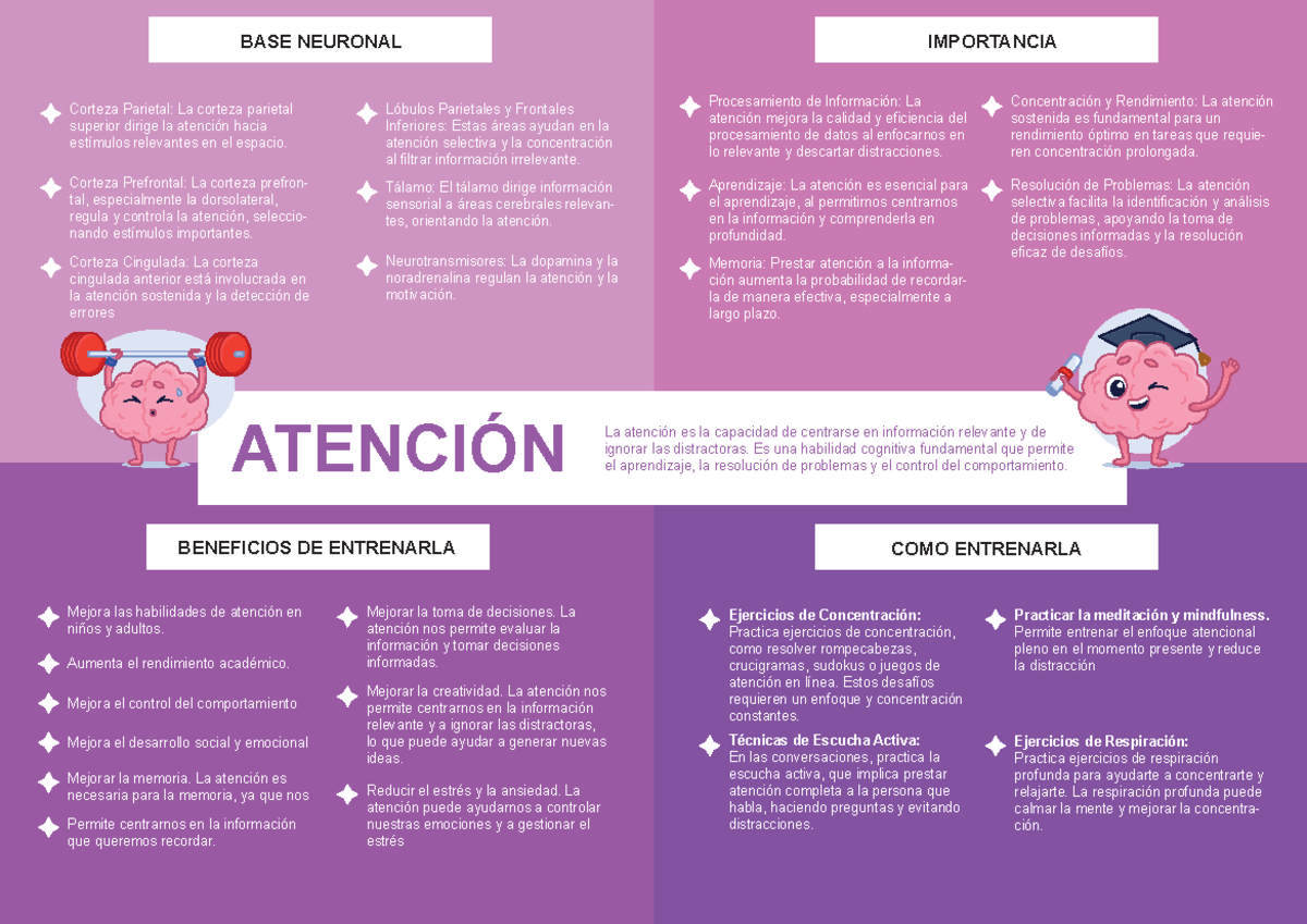 Proceso cognitivo de la Atención - ATENCI”N BASE NEURONAL La atenciÛn ...