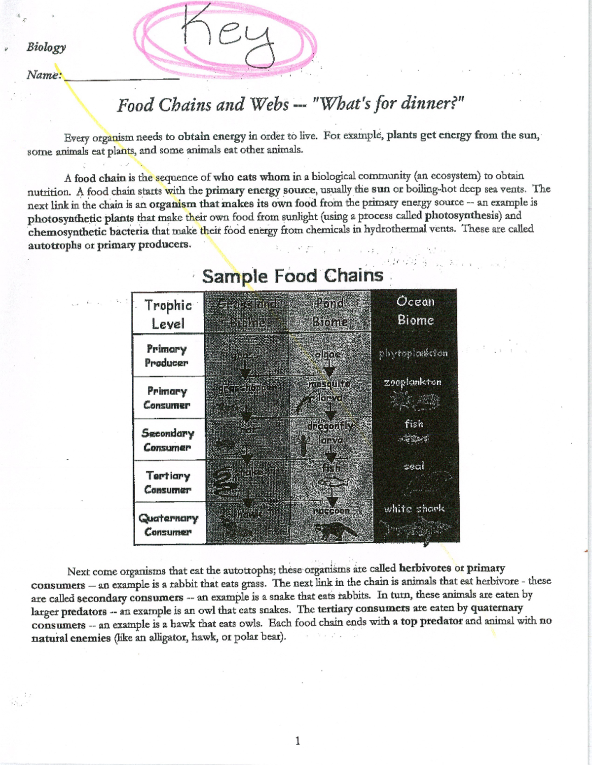 Food Chains and Webs Whats for Dinner KEY2 - Human physiology - Studocu