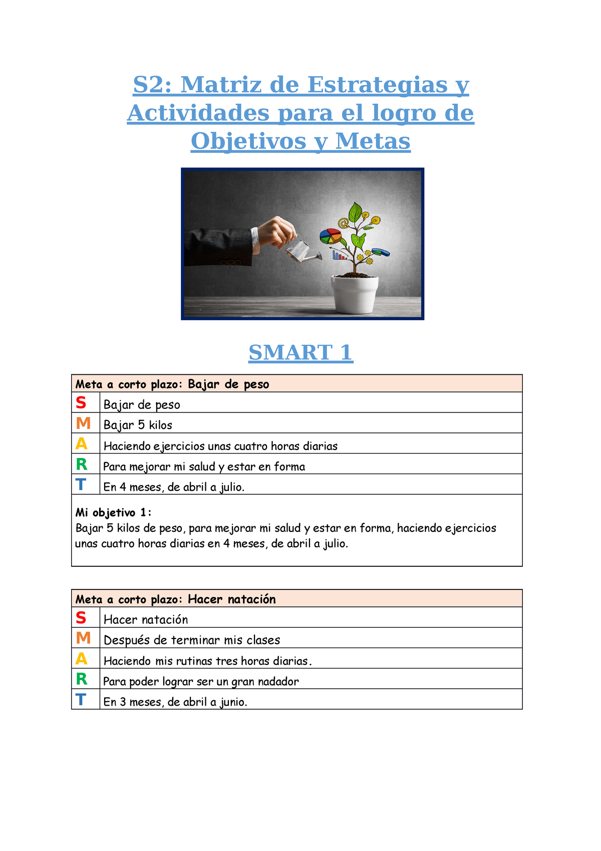 S2 Metas A Corto Plazo Dj S2 Matriz De Estrategias Y Actividades Para El Logro De Objetivos 7101