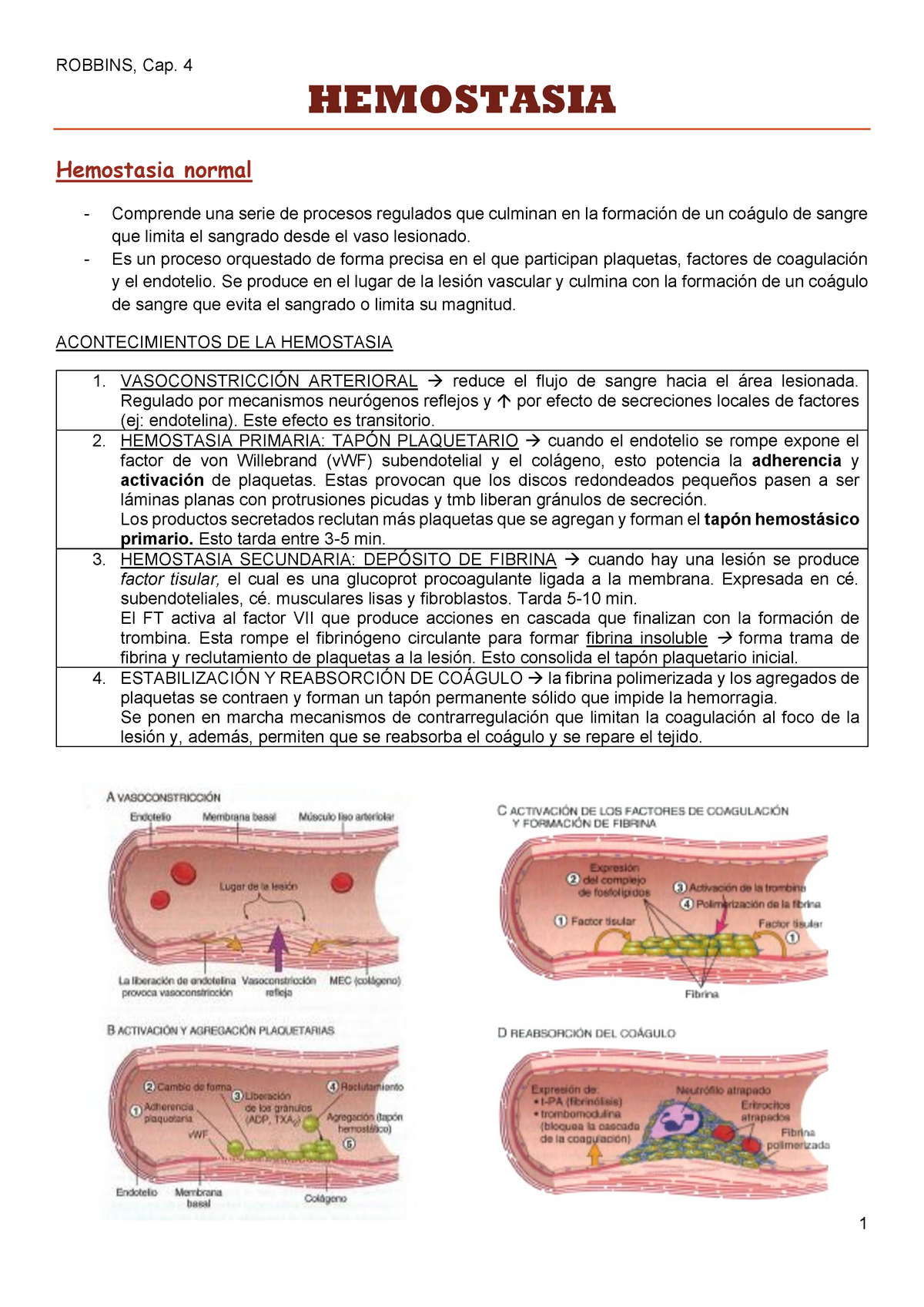 Hemostasia Robbins Patologia B Sica Hemostasia Hemostasia Normal Comprende Una Serie De